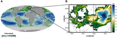 Deconstructing co-occurring marine heatwave and phytoplankton bloom events in the Arkona Sea in 2018